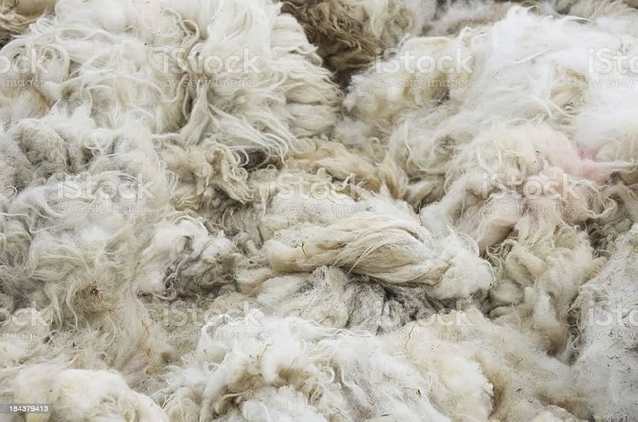 Raw Wool